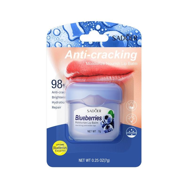 بالم لب میوه ای رفع خشکی و ضد ترک لب سادورblueberries